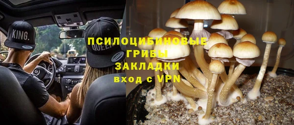 твердый Белокуриха