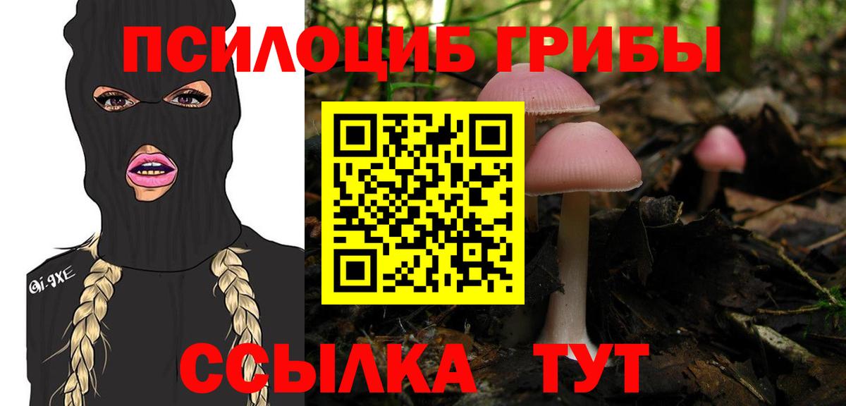 Воркута  Галлюциногенные грибы мицелий  Вход с VPN 